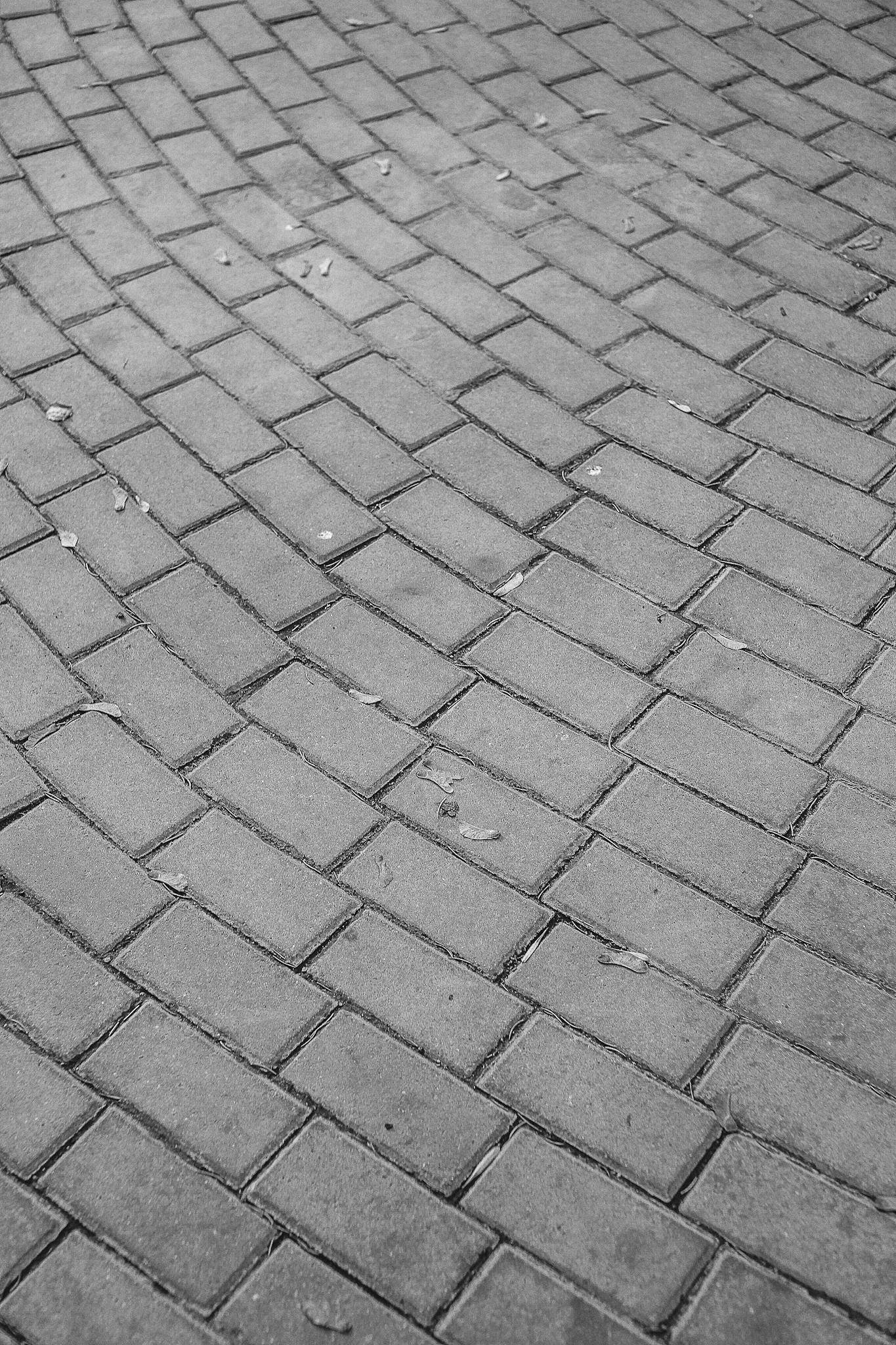 A detailed view of a classic brick pavement arranged in a wavy pattern, monochrome style.